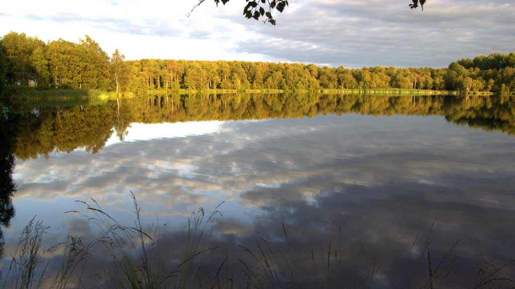 Estrup Dam (See)