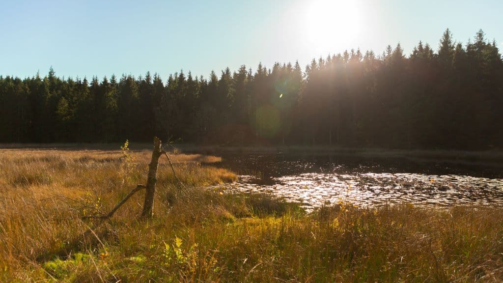 Bregnesøen (See)