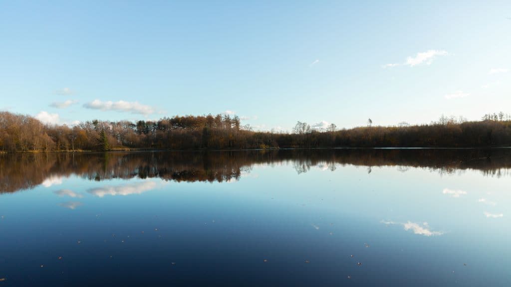 Estrup Dam (See)