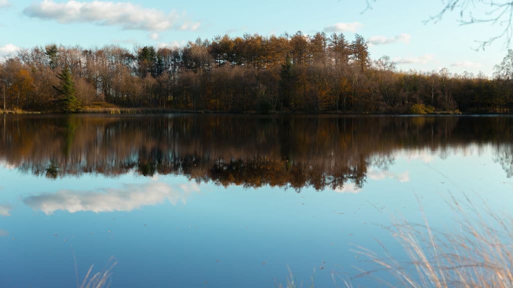 Estrup Dam (See)