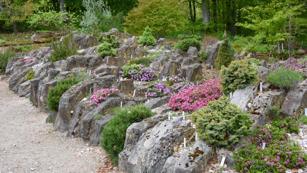 Spaltebed - Bangsbo Botaniske Have